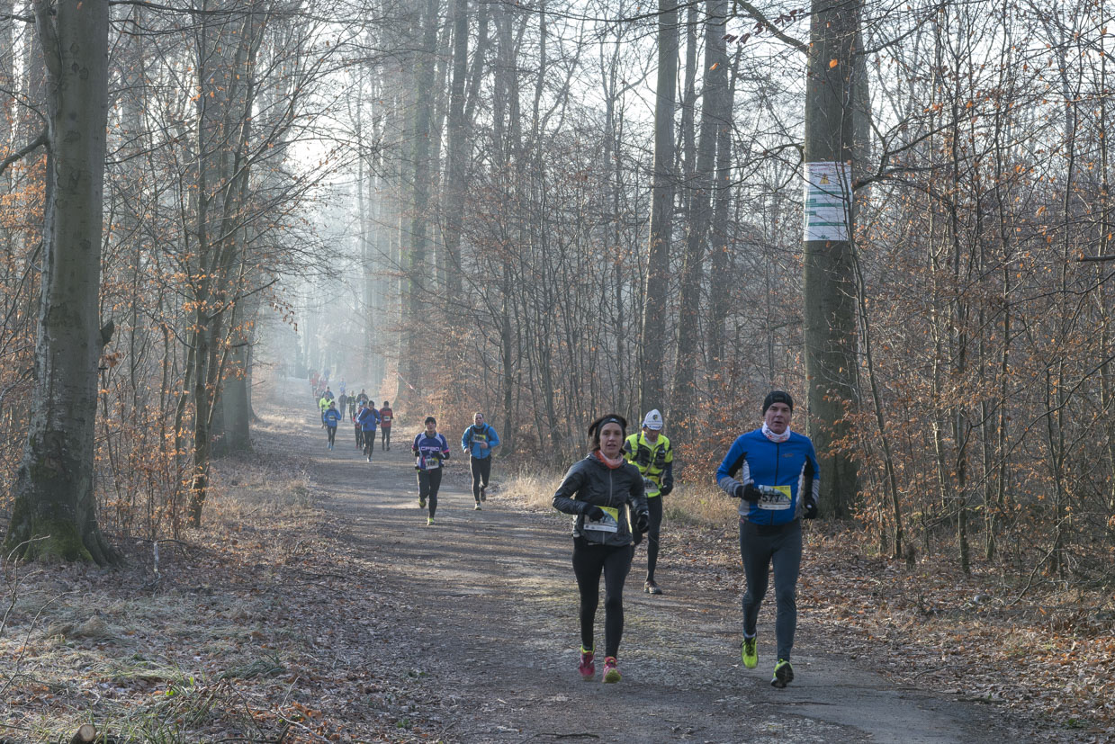 20170122-Trail-Pierrefonds-329-2