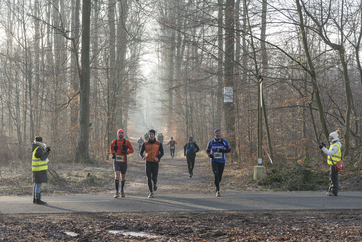 20170122-Trail-Pierrefonds-379