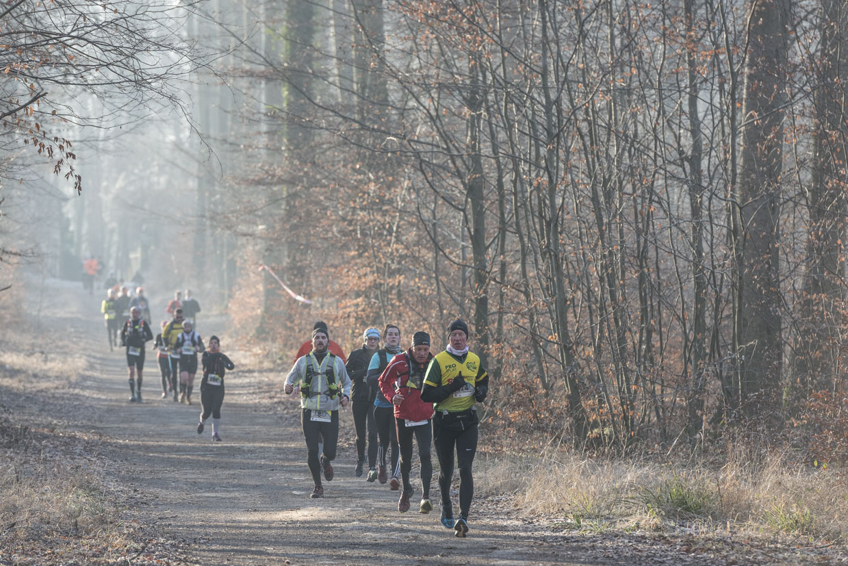 20170122-Trail-Pierrefonds-384