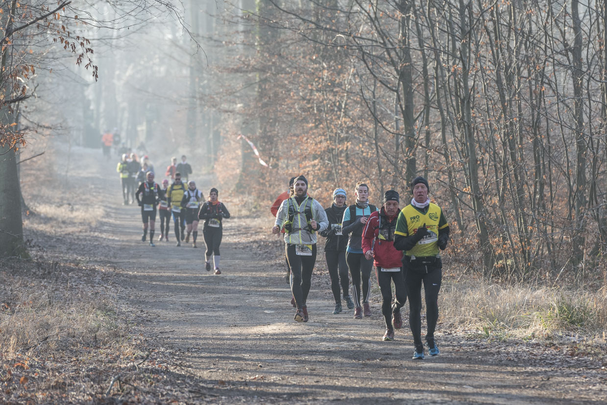 20170122-Trail-Pierrefonds-386