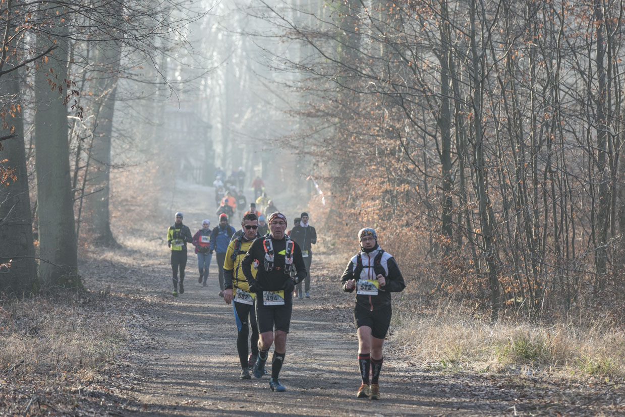 20170122-Trail-Pierrefonds-392