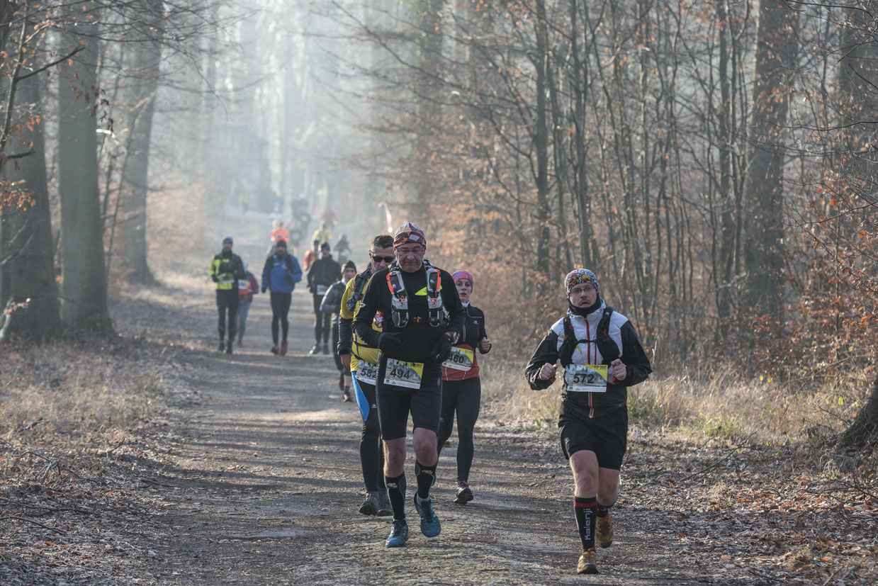 20170122-Trail-Pierrefonds-397