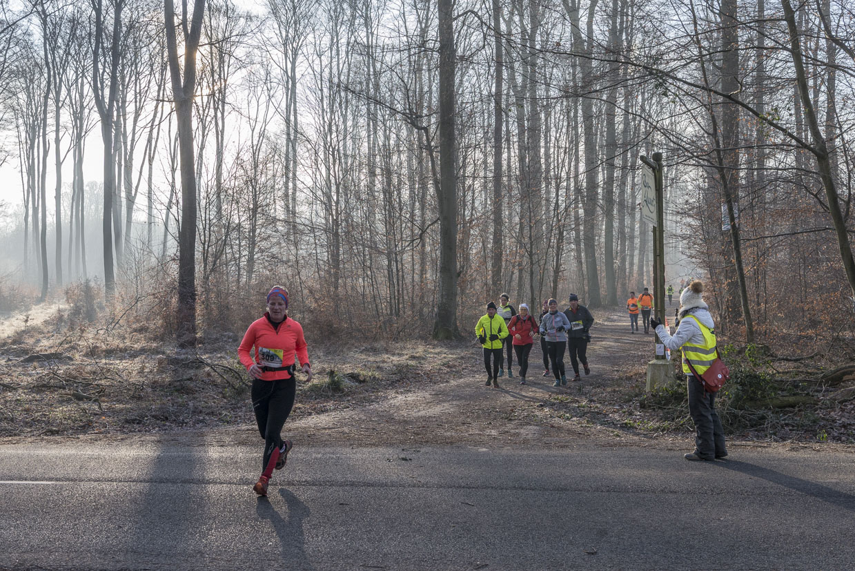 20170122-Trail-Pierrefonds-422