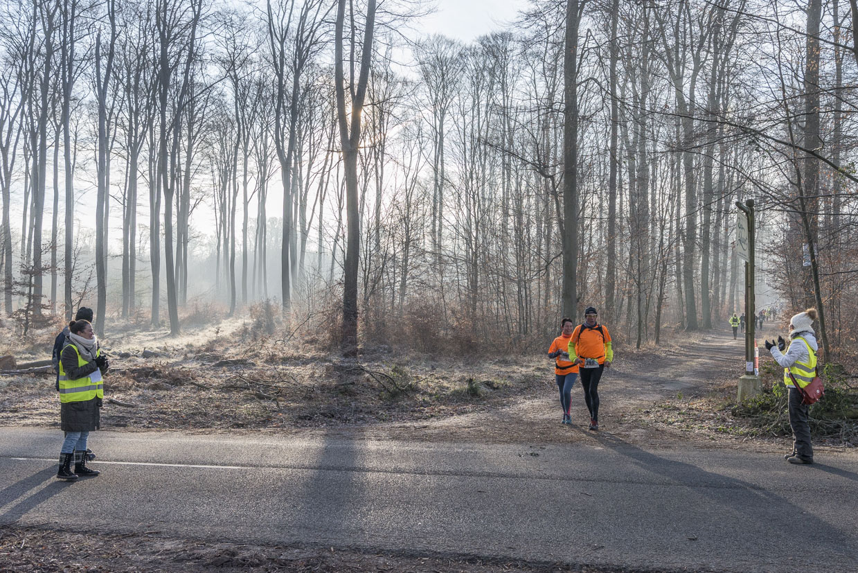 20170122-Trail-Pierrefonds-426