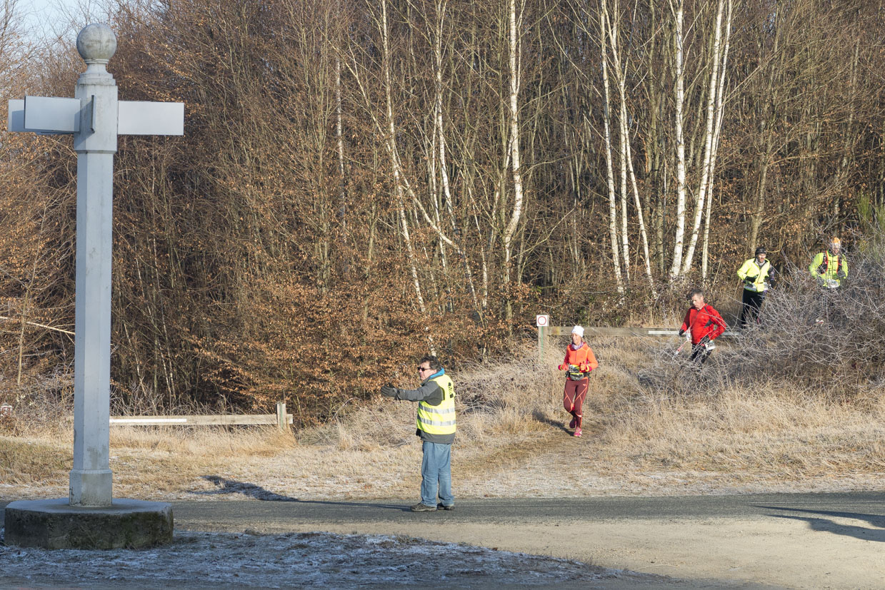 20170122-Trail-Pierrefonds-451