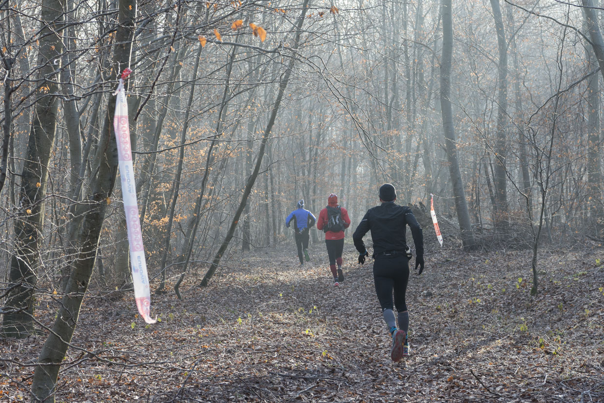 20170122-Trail-Pierrefonds-477