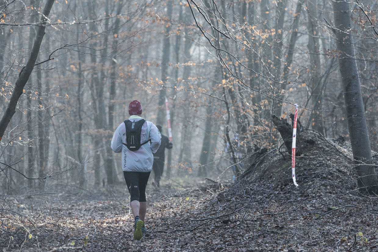 20170122-Trail-Pierrefonds-510