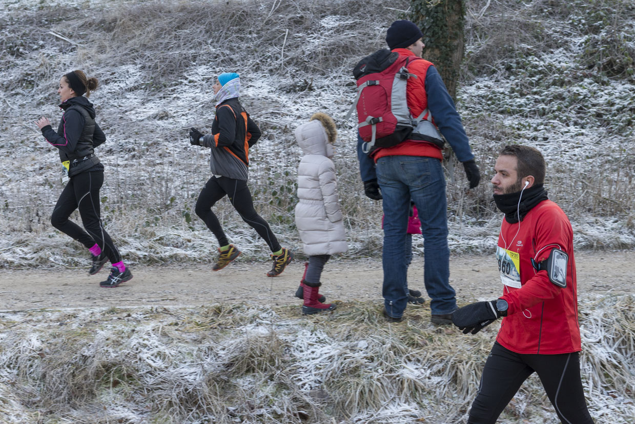 20170122-Trail-Pierrefonds-586