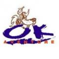 Logo ok 1